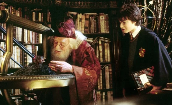 Albus Dombledore Harry Potter
