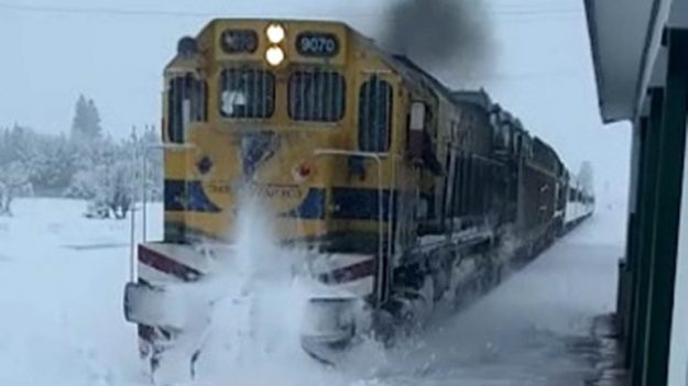 tren patagonico nevada bariloche