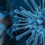 carga viral coronavirus