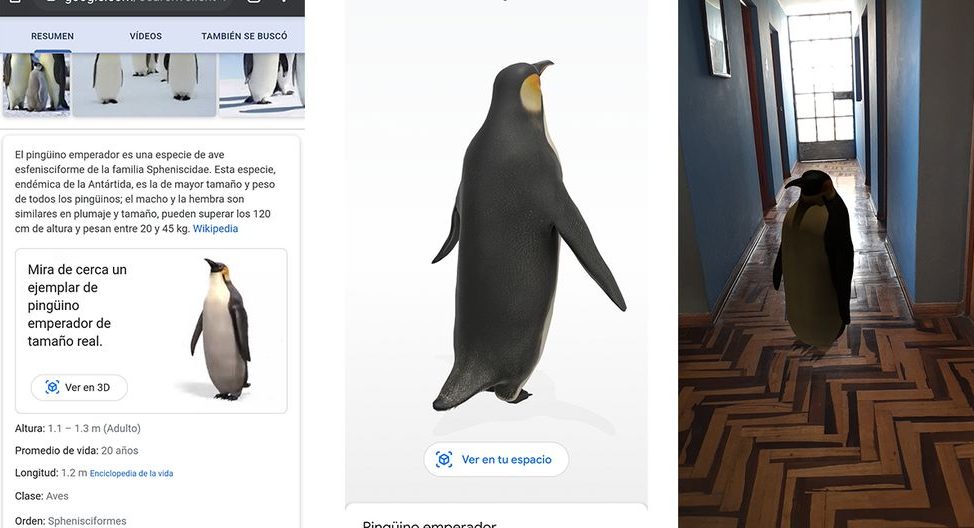 El buscador de Google ofrece animales en realidad aumentada para poner en  tus vídeos