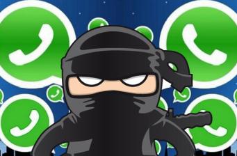 ninja whatsapp