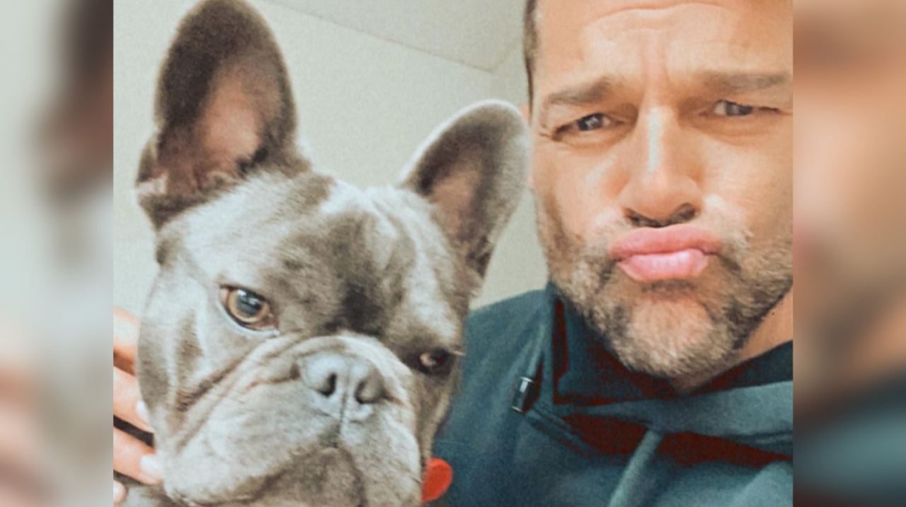 Ricky Martin jugó con su perro y divirtió a sus fans
