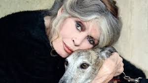 Brigitte Bardot 