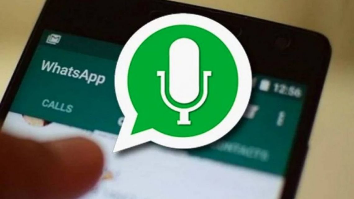 Whatsapp Permitirá Publicar Notas De Voz Como Estados 7134