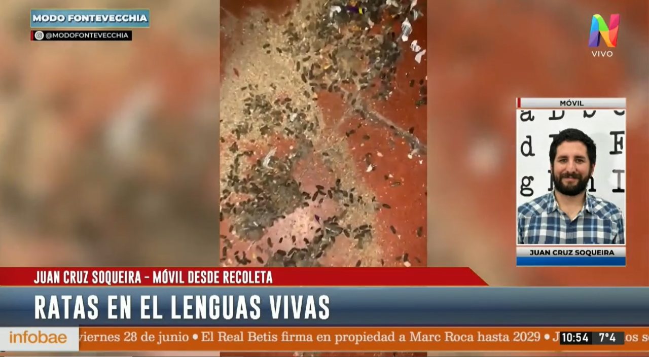 Recoleta: denuncian plaga de ratas en el Lenguas Vivas