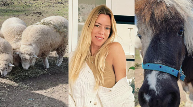 Nicole Neumann estalló tras la amenaza de un vecino contra sus corderos: “No entiendo a la gente”